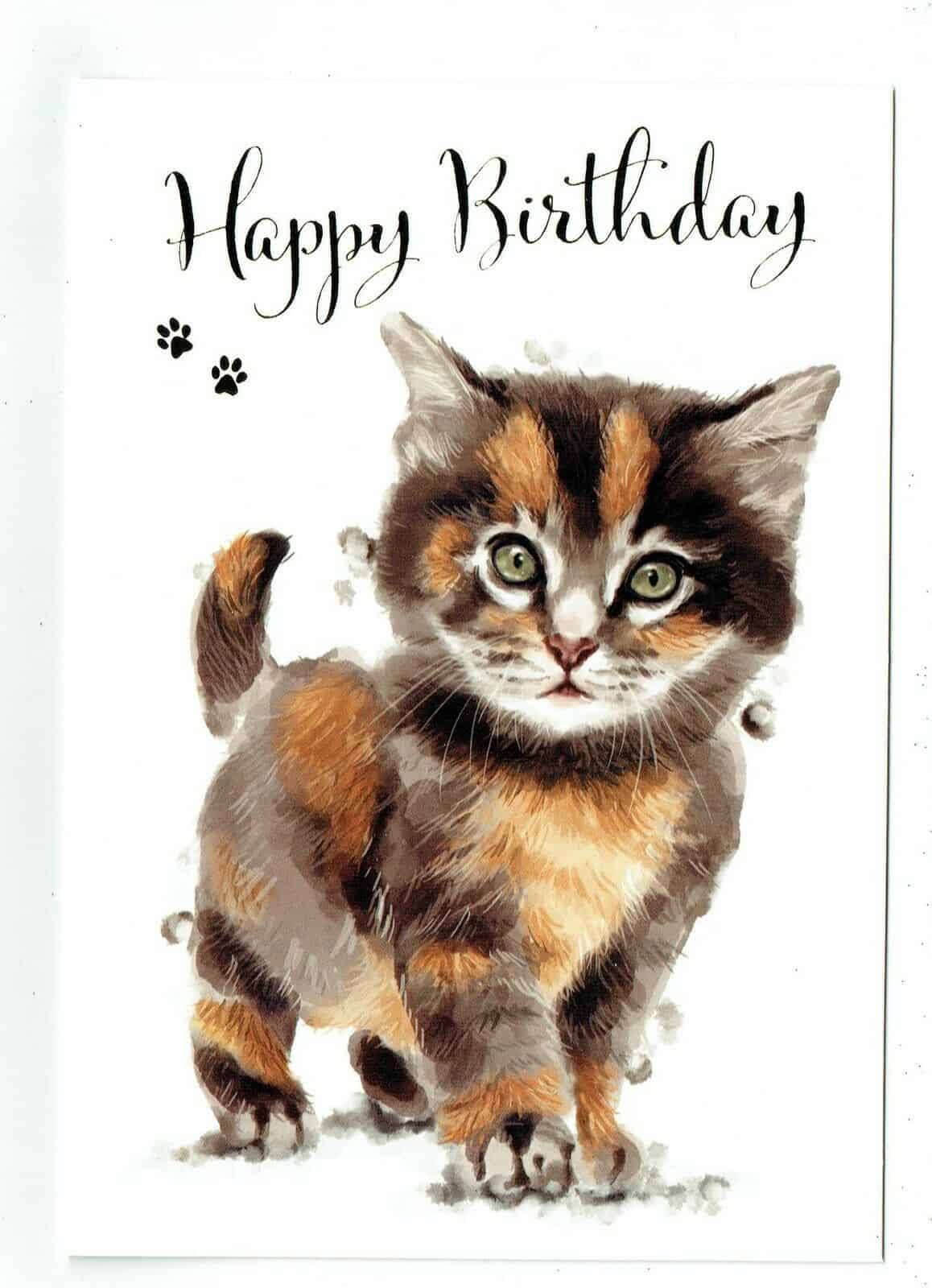 General Birthday Card With Cute Cat Design Happy Birthday eBay